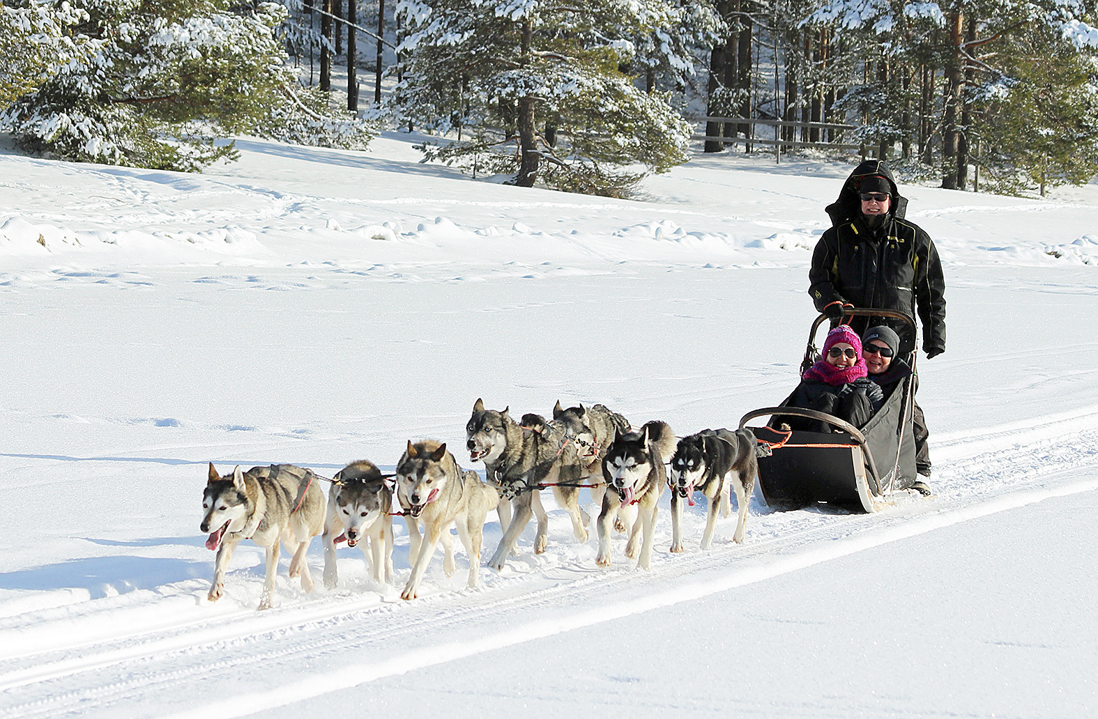 Luminen Pielisen jää, reen edessä innokkaat Pia Isomursun koirat, siinä saa kyydissä olijat kokea erilaista vauhdin hurmaa. Turisteille koiravaljakkokyyti on unohtumaton lomakokemus.
