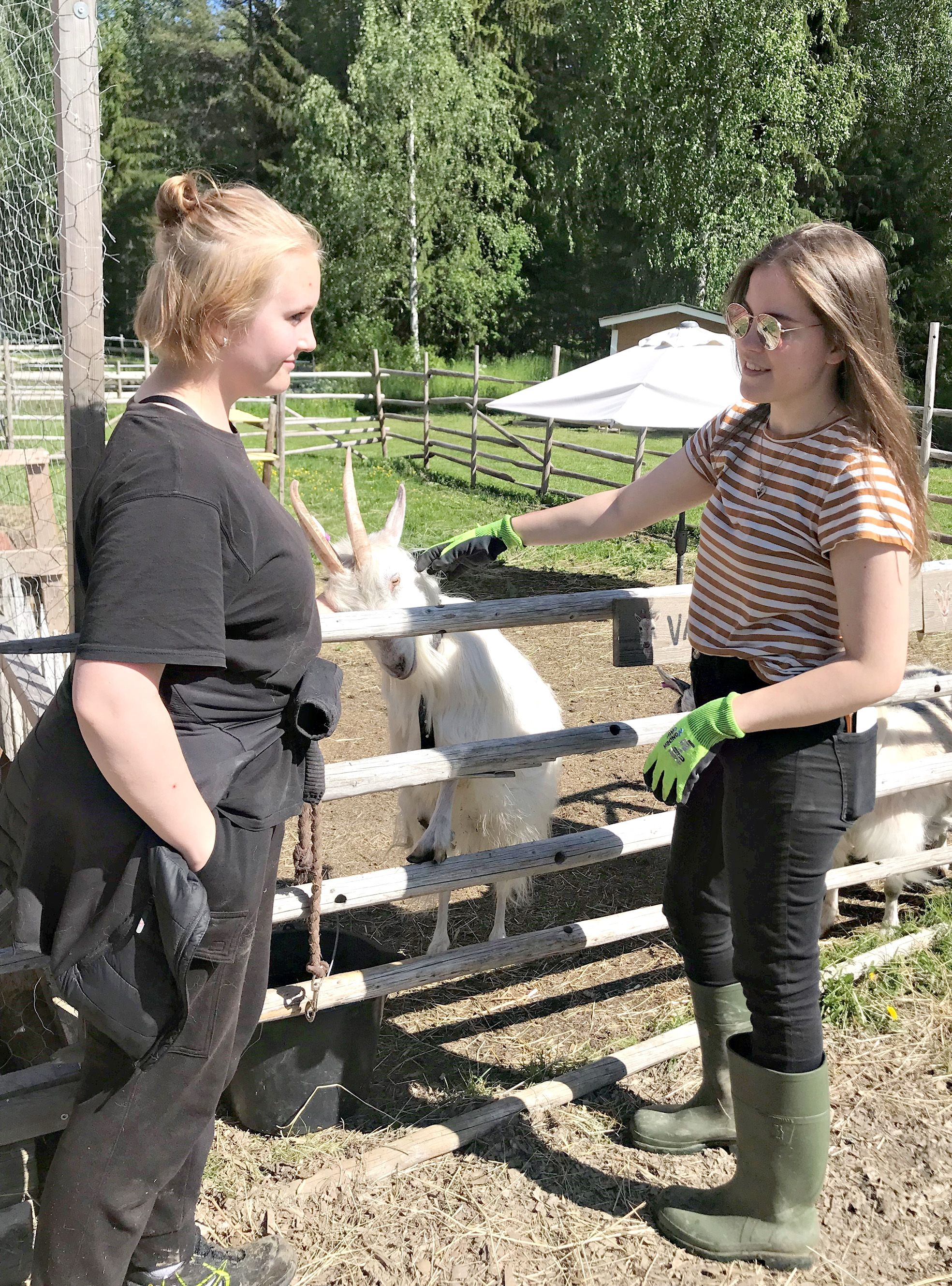 Mila Niemi (vas.) ja Tanja Pääkkönen hoitavat kotieläinpihan eläimiä.
