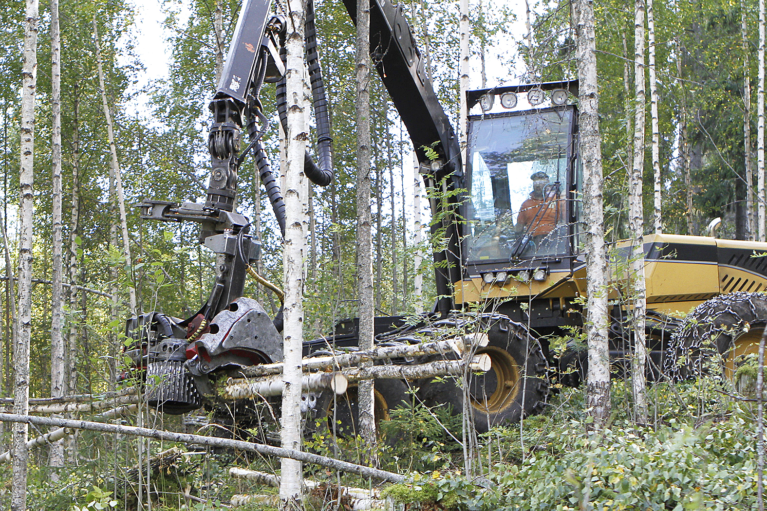 Yleensä aina kun tapahtuu omistajanmuutos, niin se poikii aktiivisuutta metsään. Silloin harvennusrästitkin voivat saada kyytiä.