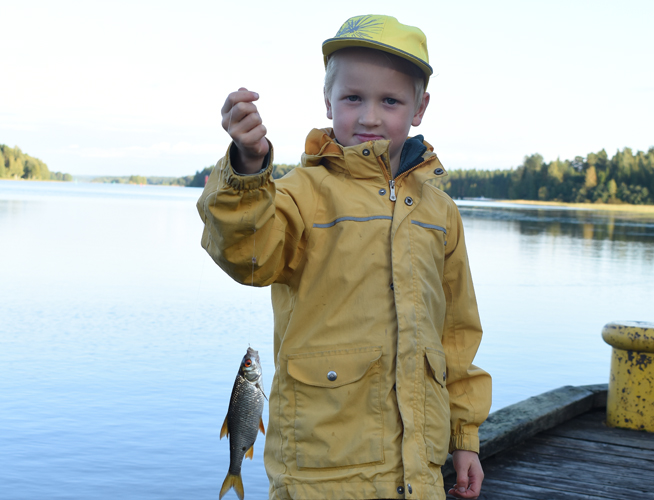 Mato-onginta on tuttua puuhaa kesällä kalastuksesta innostuneelle Toivo Ovaskaiselle. Satamarannasta onkeen tarttui särki.