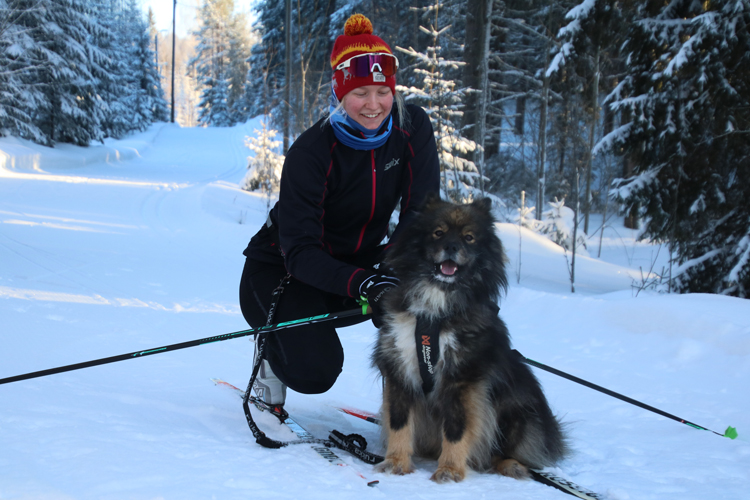 Elina Aittamaalle Luka-koira on hyvä seuralainen hiihtolenkeillä.