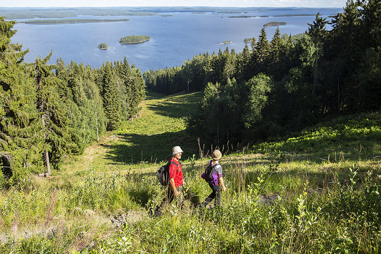 Kolin satamasta Ylä-Kolille johtava polku on yksi Suomen vanhimmista luontopoluista. Kuva: Saara Lavi  