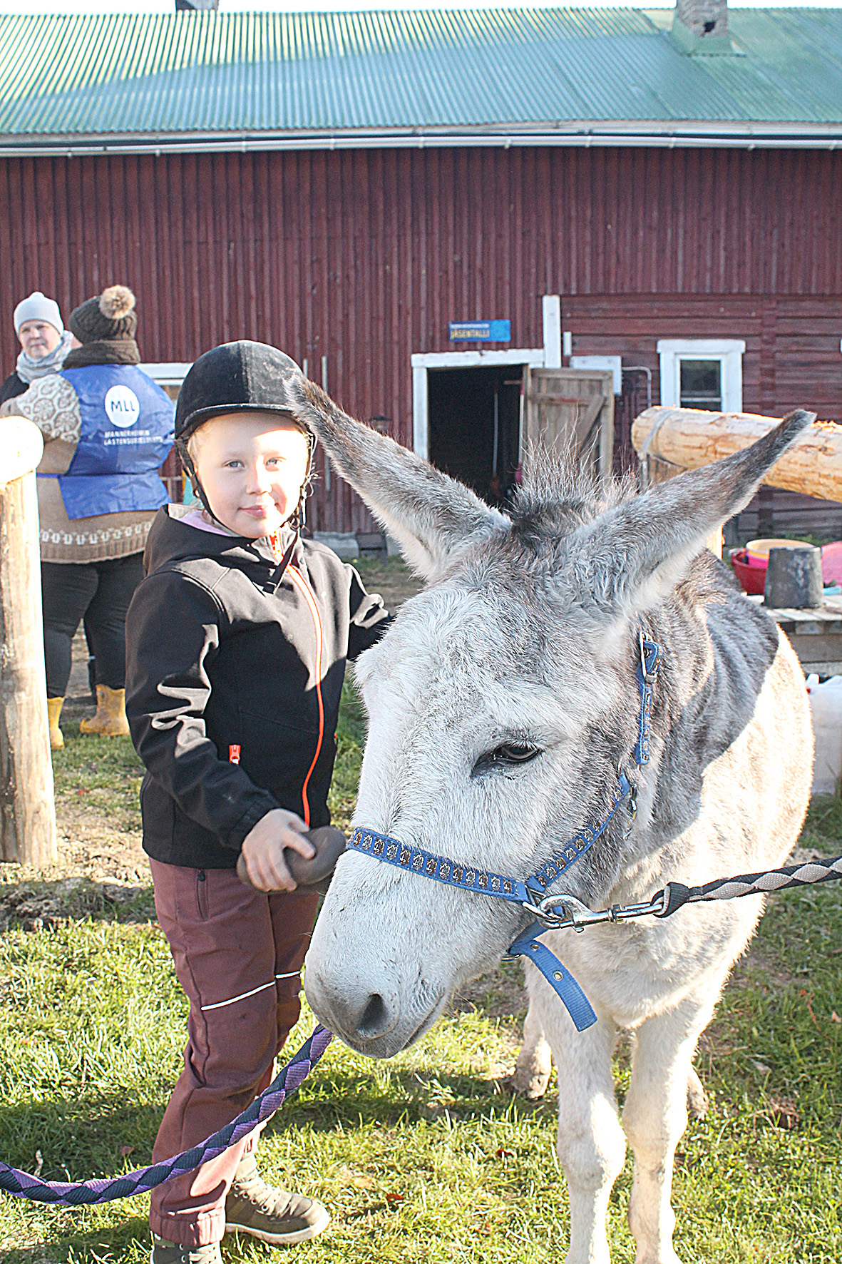 Mila Hyttinen, 7, hoivasi Kukka-aasia harjaamalla.