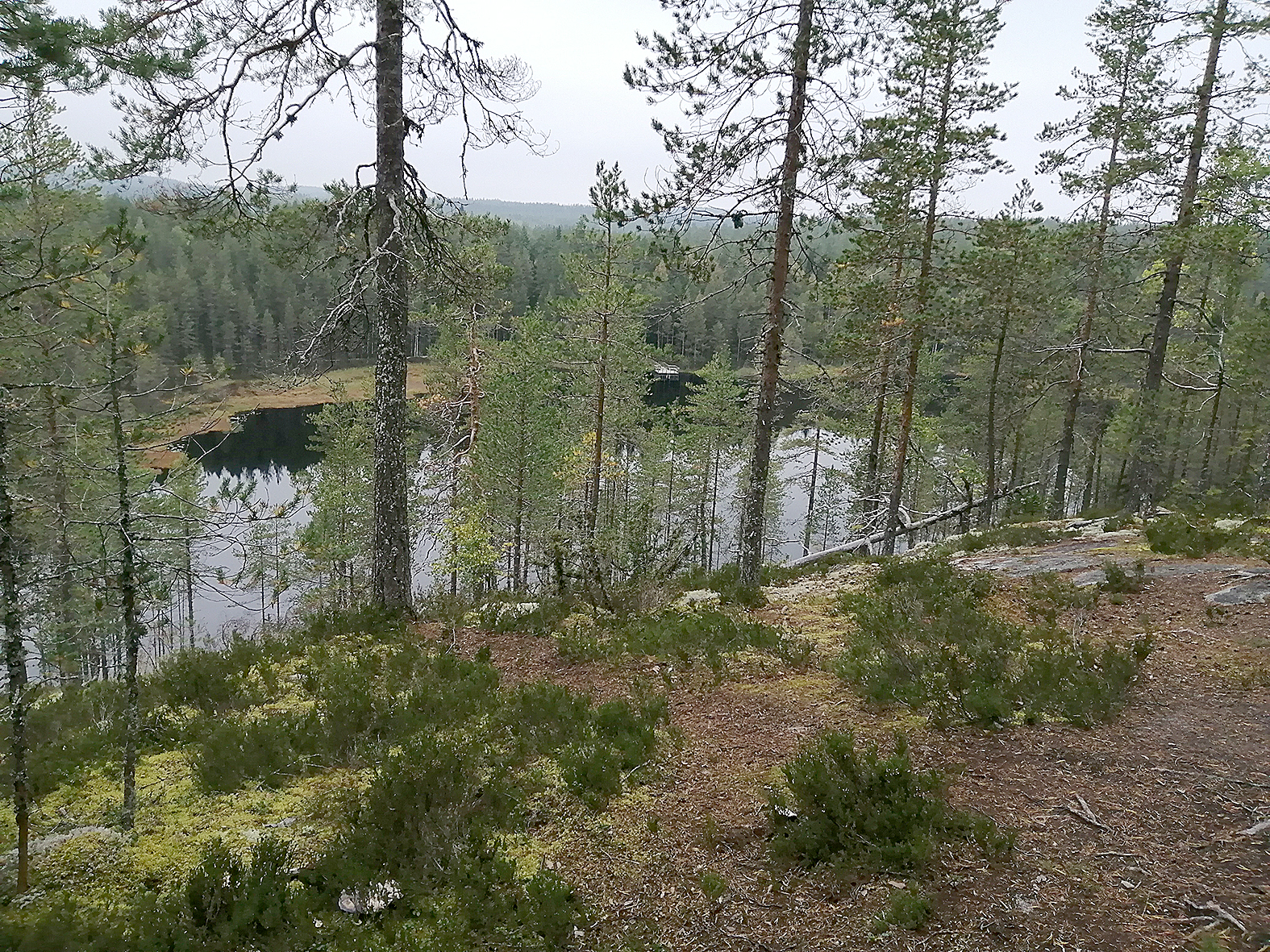 Tuusniemen rotkolaaksossa avautuu hulppeat näkymät. Rotko on syntynyt ja muovautunut viimeisimmän jääkauden aikana.