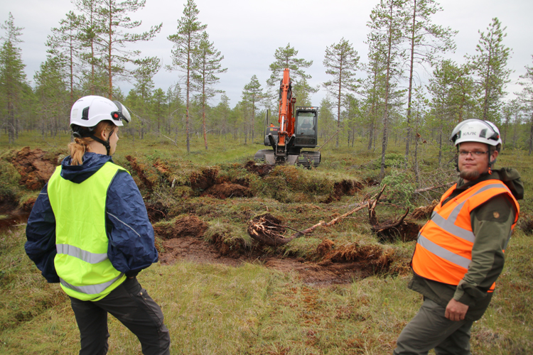 Rauli Perkiö Tornatorista (oik.) oli Leväsuolla yhdessä metsätyöharjoittelija Annika Ståhlin kanssa seuraamassa, miten kaivinkone patoaa suon virtaamia.