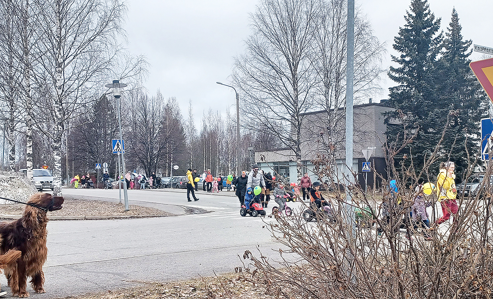 Lasten traktorikulkue marssimassa Väyryläntietä pitkin.